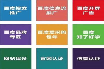 竞价排名广告投放案例